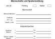 mannschaftsmeldung